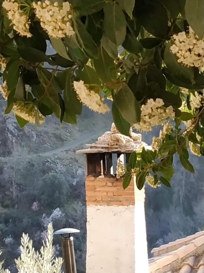 Affittacamere Cortijo La Solana Guejar Sierra Esterno foto