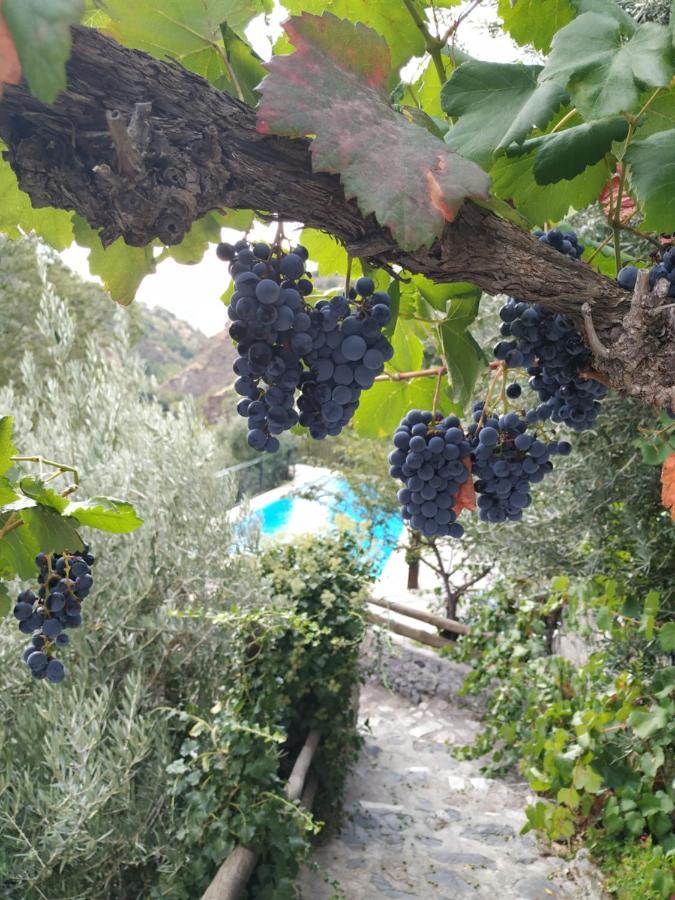 Affittacamere Cortijo La Solana Guejar Sierra Esterno foto